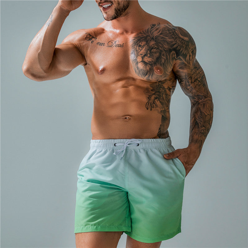 Coastal Breeze Gradient Swim Trunks